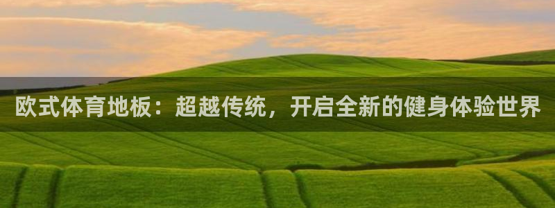 球速体育