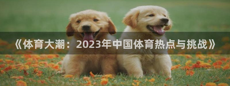 球速体育：《体育大潮：2023年中国体育热点与挑战》