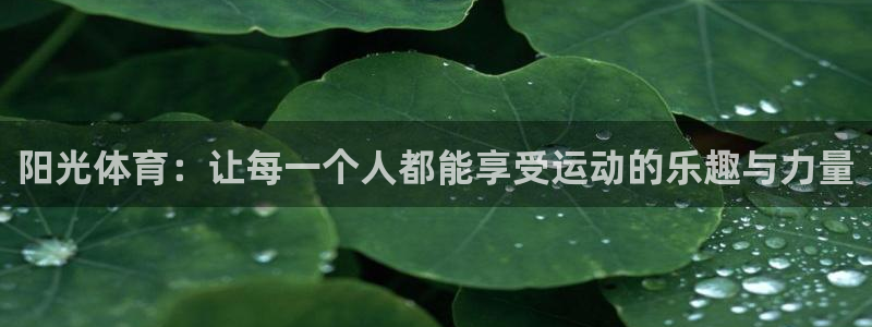球速体育：阳光体育：让每一个人都能享受运动的乐趣与力量
