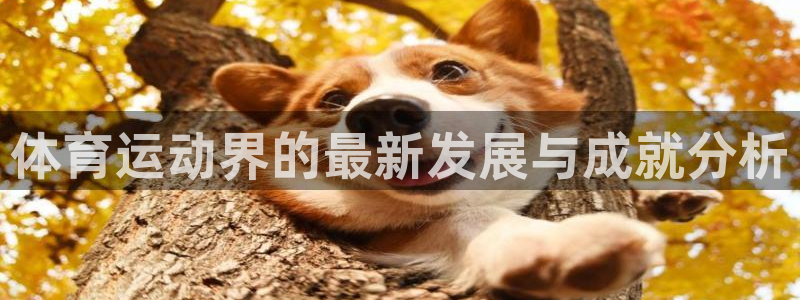 球速体育：体育运动界的最新发展与成就分析