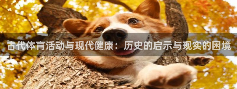 球速体育：古代体育活动与现代健康：历史的启示与现实的困境