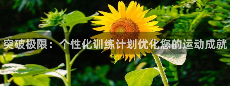 球速体育