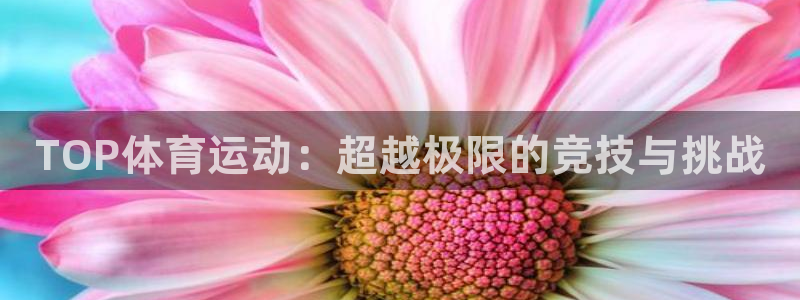球速体育：TOP体育运动：超越极限的竞技与挑战