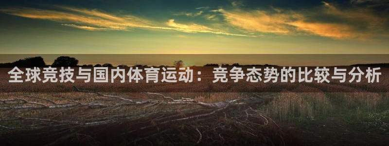球速体育：全球竞技与国内体育运动：竞争态势的比较与分析